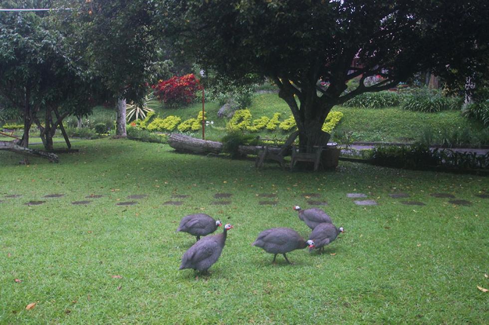 Hotel Villa Rawa Pening Pratama By Aparian Bandungan Bagian luar foto